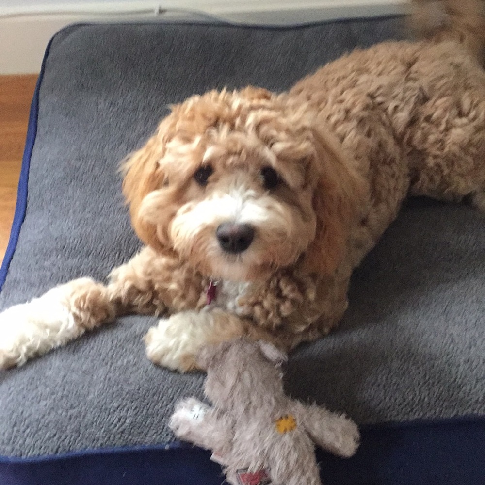 Meet your Posher, Elaine